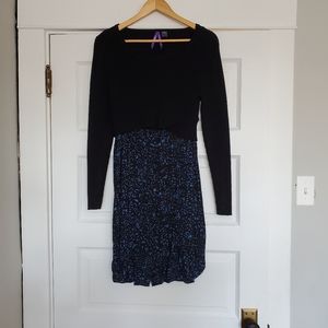 Seraphine Nursing/Maternity Dress